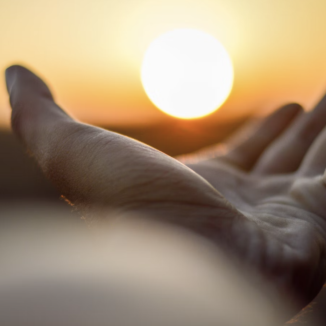 Hand Being Held Out to the Sun