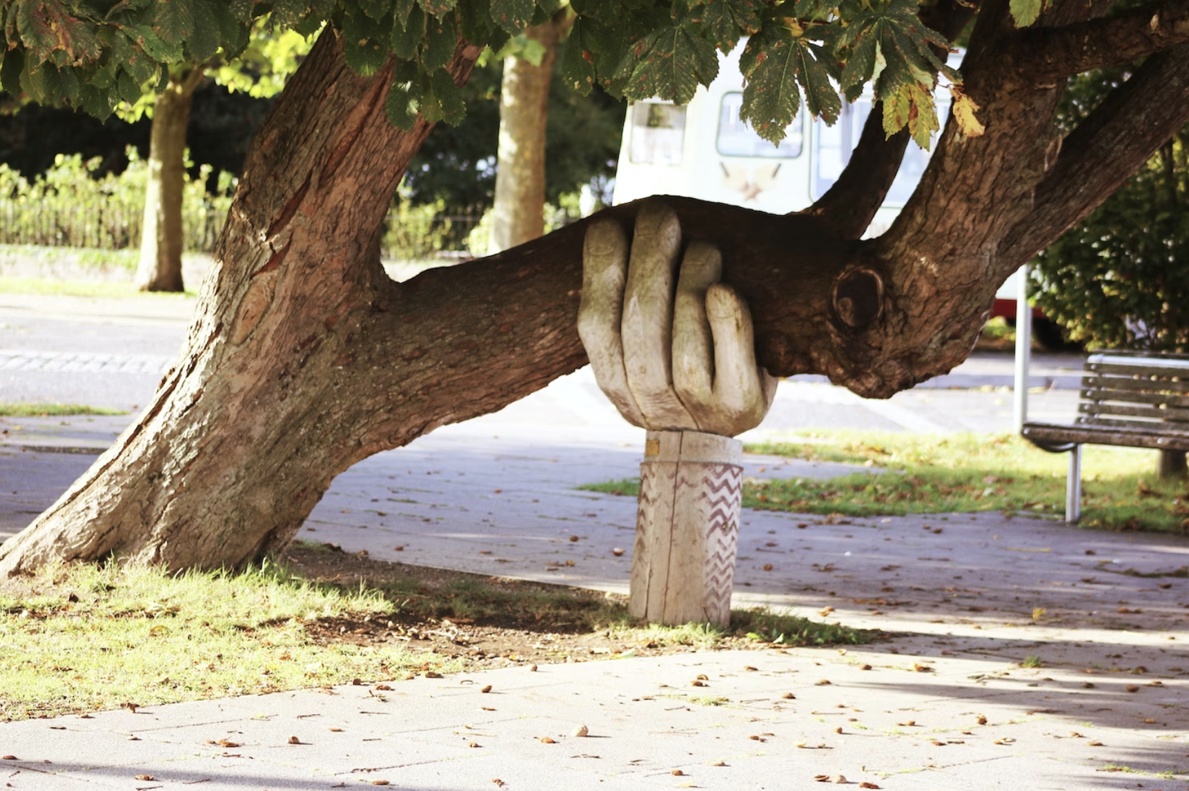 Discreet Care Decision Help with Belmont Healthcare