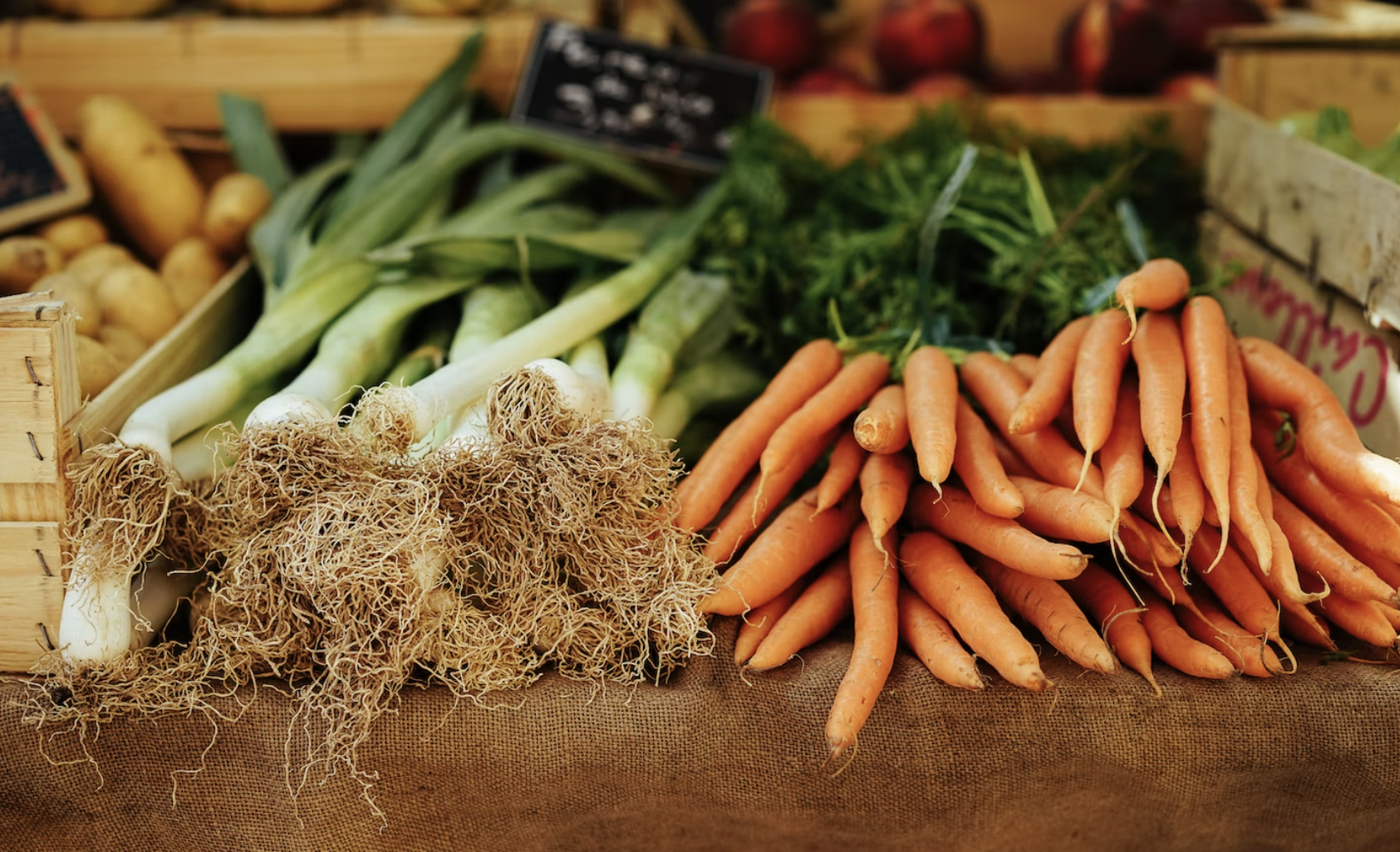Care Home Wellness Activity: Cooking Soup Benefits Everyone