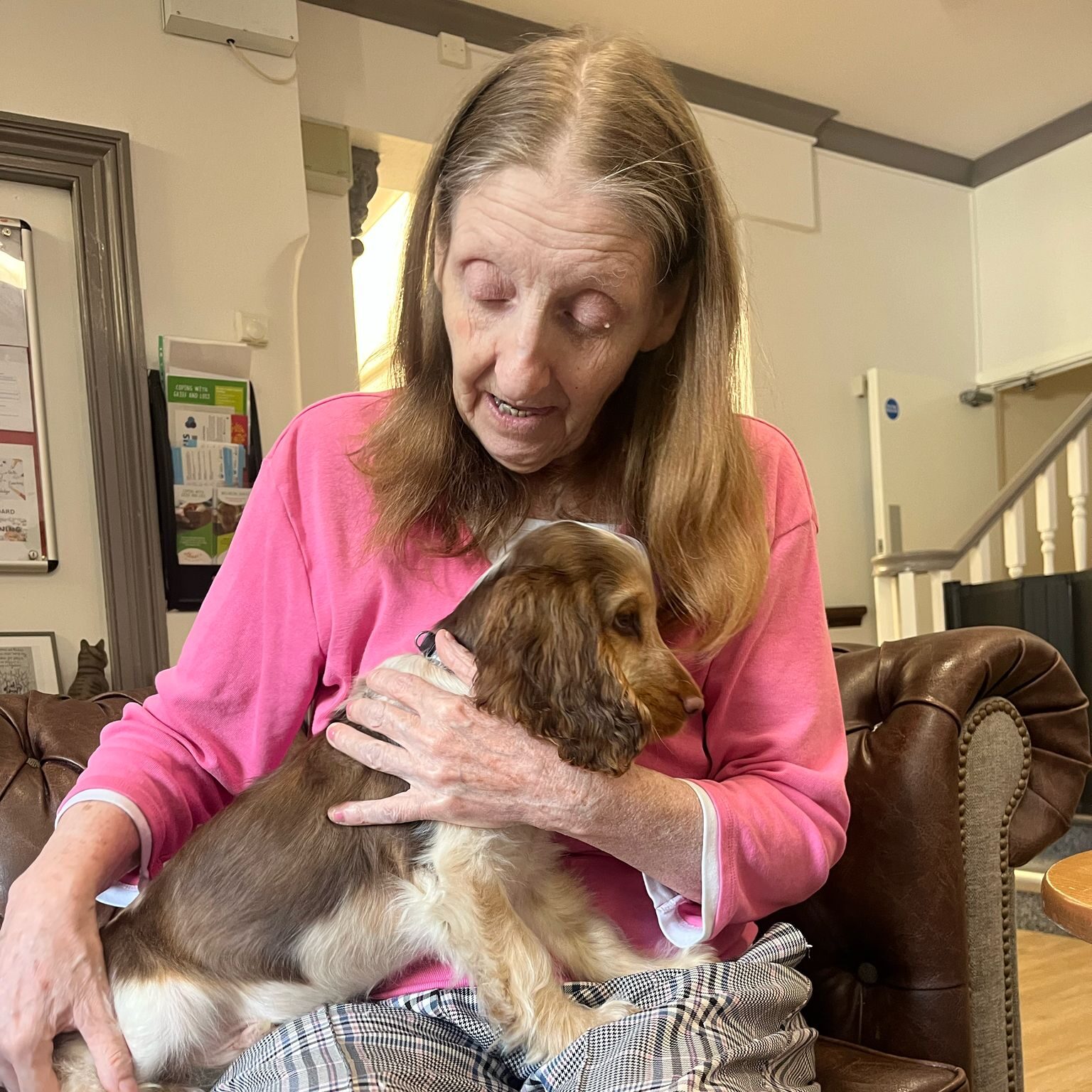 Therapy Dog Teddy